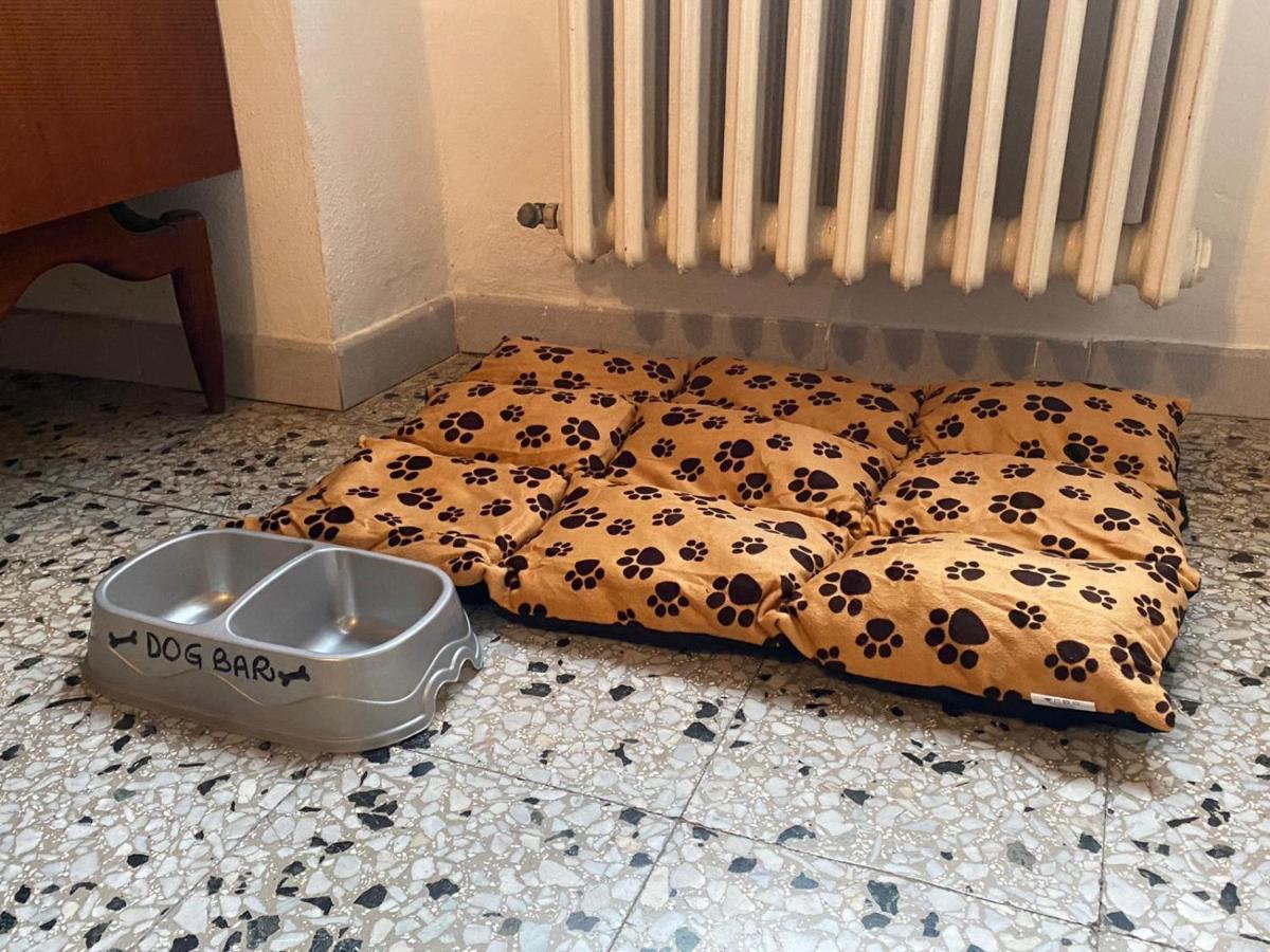 Casa Vacanze Beppina Cortona Exteriör bild